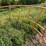 #5481-•-sioux-hay-feeder-image-3