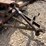 case-ih-50-image-4
