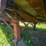 trailmobile-van-image-26