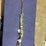 #51-•-benelli-super-back-eagle-3-12-gauge-image-5