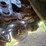 great-dane-reefer-image-31