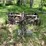 international-8-image-2