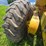 wabco-444-image-81