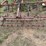 #212-•-field-cultivator-187"-wide-(ringle,-wi)-image-13