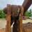 allis-chalmers-6g-image-64
