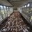 2008-merritt-livestock-image-41