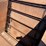 #5442-•-kelly-ryan-feeder-wagon-image-7