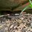 bush-hog-bh17-image-13