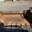 bobcat-80-image-1