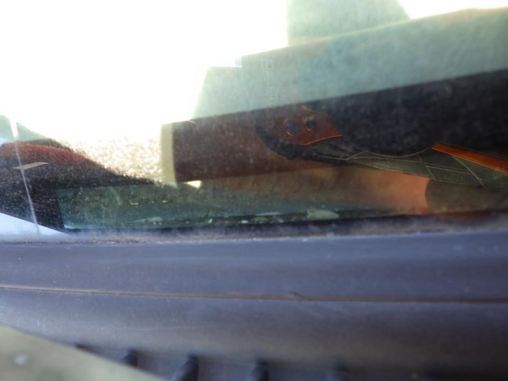 2004-toyota-tacoma-image-13