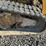 2014-caterpillar-289d-image-14