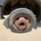 2013-ford-f550-image-20