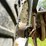#504-•-18'-pontoon-trailer,-(no-title)-(spring-brook,-wi)-image-19