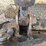 2020-bobcat-t770-image-72