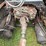 1999-case-ih-8100-image-9