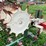 brillion-brs-02-image-8