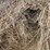 #258-•-(11)-2025-net-wrapped-grass-hay-bales-(stone-lake,-wi)-image-2