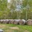 #250-•-(10)-2025-net-wrapped-grass-hay-bales-(stone-lake,-wi)-image-3