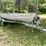 #508-•-aluma-craft-14'-aluminum-boat-&-trailer-(sells-with-bill-of-sale-only)-(spring-brook,-wi)-image-3