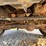 2011-dodge-ram-2500-image-37