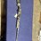 #51-•-benelli-super-back-eagle-3-12-gauge-image-1