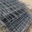 #5480-•-pig-fencing-image-4