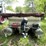 #502-•-northwood-pontoon-with-motor-(no-title)-(spring-brook,-wi)-image-6
