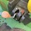 john-deere-gator-image-15