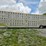2008-merritt-livestock-image-5