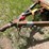 #462-•-20'-tandem-axle-trailer-(no-title)-(spring-brook,-wi)-image-9