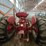 mccormick-m-image-6