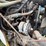 1999-case-ih-8100-image-22