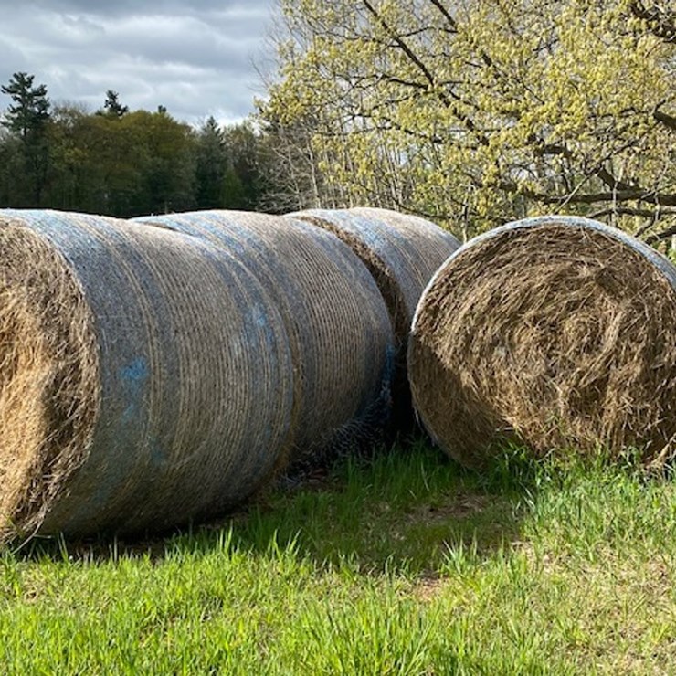 #250 • (10) 2025 Net Wrapped Grass Hay Bales (Stone Lake, WI)