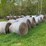 #258-•-(11)-2025-net-wrapped-grass-hay-bales-(stone-lake,-wi)-image-5