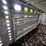 2008-merritt-livestock-image-35