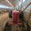 mccormick-m-image-9