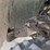 #5459-•-2006-yamaha-atv-image-15