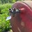 #5492-•-fuel-barrel-image-3