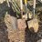 (3)-spade-shovels-&-(1)-sharp-shooter-image-2