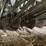 john-deere-8300-image-18