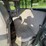 1999-dodge-ram-2500-image-60