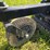2021-bobcat-ct5558-image-103