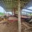 new-holland-1002-image-2
