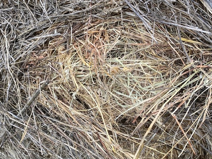 #256-•-(10)-2025-net-wrapped-grass-hay-bales-(stone-lake,-wi)-image-2