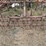 #212-•-field-cultivator-187"-wide-(ringle,-wi)-image-12