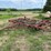 #212-•-field-cultivator-187"-wide-(ringle,-wi)-image-1
