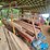 new-holland-1002-image-4
