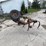 #208-•-brillion-cultivator-(kaukauna,-wi)-image-5