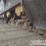 2017-komatsu-pc210-lc-11-image-16