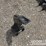 unused-ripper-to-suit-mini-excavator-image-4